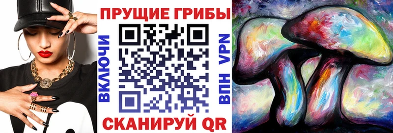 Псилоцибиновые грибы мухоморы дарнет шоп Воркута