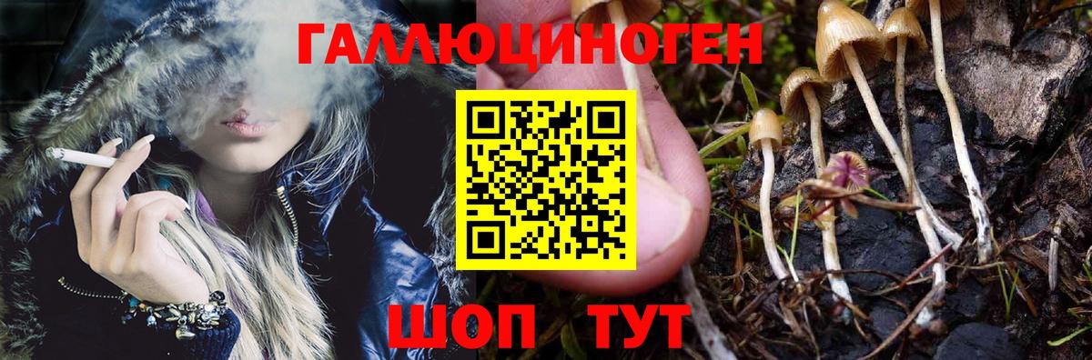 Псилоцибиновые грибы прущие грибы Воркута